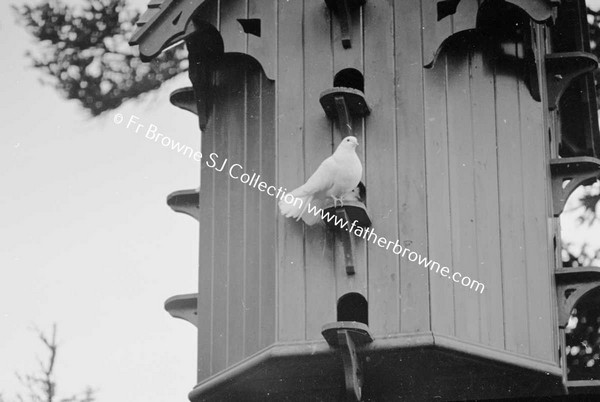 PHOTOGRAPHIC SOCIETY OF IRELAND OUTING DOVECOTE